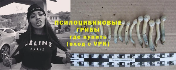 прущий лед Абаза